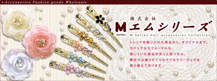 株式会社エムシリーズ